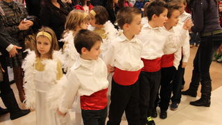 Predbožićna akcija u Suernovi, Foto: Udruga Down Zadarske županije, Anđela Horvat