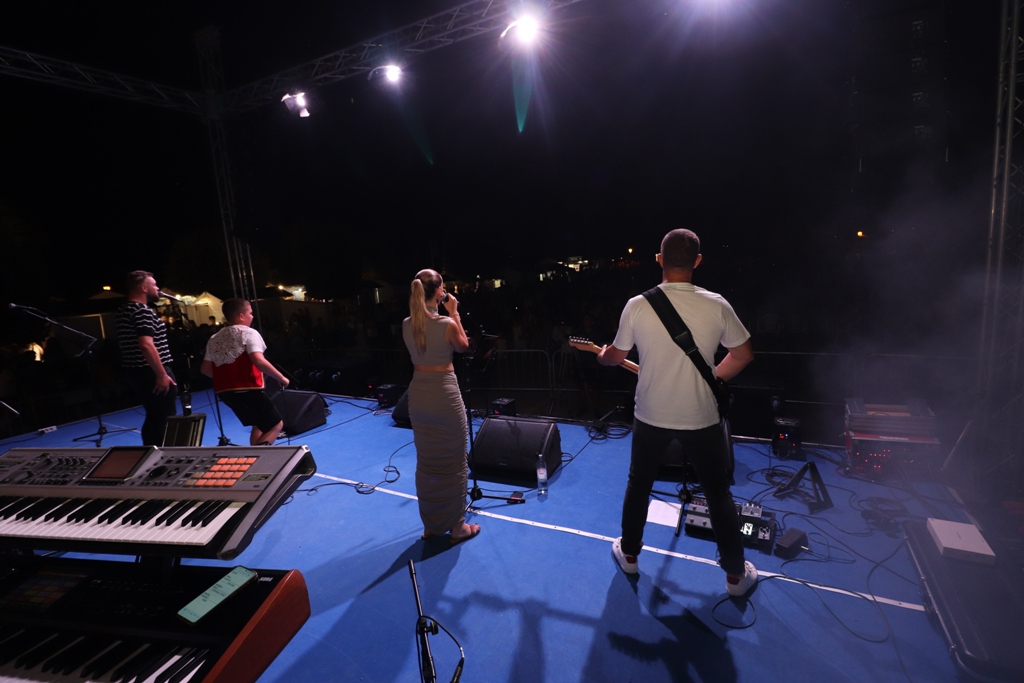 Vir fest 2024. Vir fest 2024.