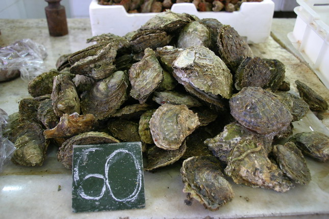 Image 1207687 (auto)