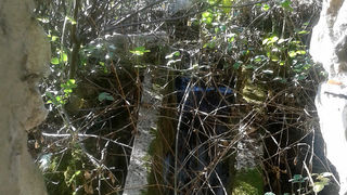 Krška rijela Karišnica. Foto: Edvard Šprljan Krška rijela Karišnica. Foto: Edvard Šprljan