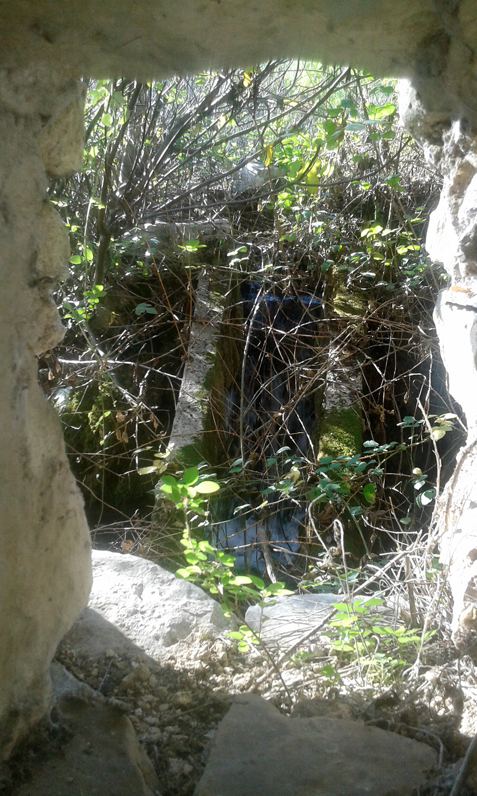 Krška rijela Karišnica. Foto: Edvard Šprljan Krška rijela Karišnica. Foto: Edvard Šprljan