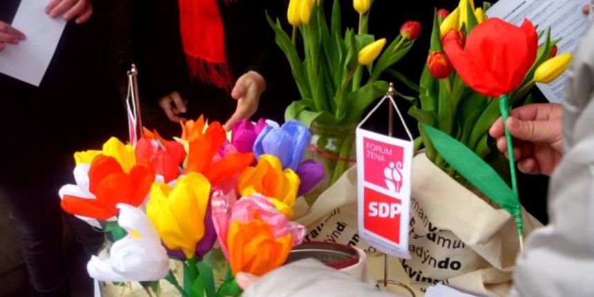 Omiljeni cvijet Ane Rukavine, foto: www.pakrac.sdp.hr