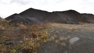 Crno brdo: toksičan materijal deponiran tijekom sanacije šibenskog TEF-a od strane tvrtke MLM. Photo: Dino Stanin/PIXSELL