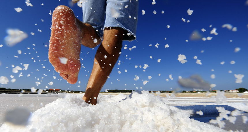 Solana Nin – Festival soli Solana Nin – Festival soli