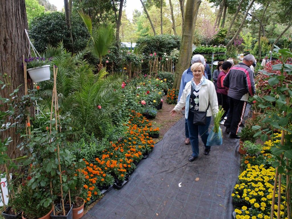 Sv. Filip i Jakov – 10. Dani cvijeća, 24. i 25. travnja 2010. (Foto: Vedran Penga)