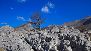 Izlet u Libinje 6. travnja 2011, Foto: Leo Banic