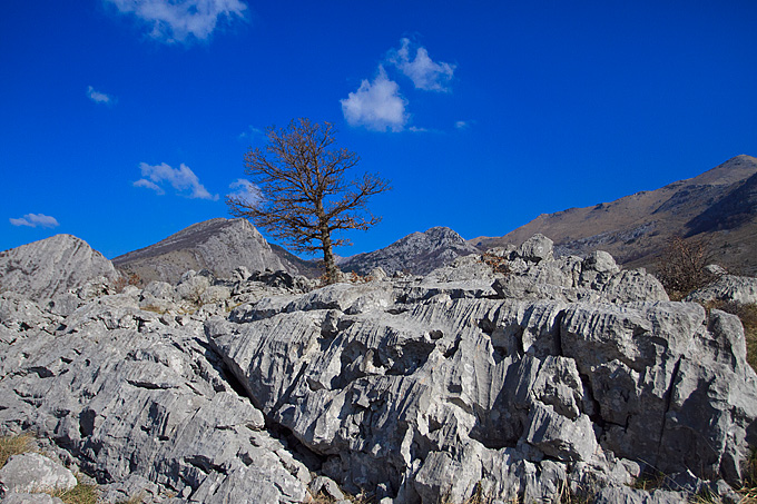 Izlet u Libinje 6. travnja 2011, Foto: Leo Banic