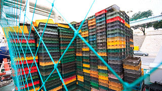 Ribarice u zadarskoj luci, Foto: Leo Banić