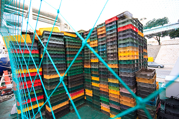 Ribarice u zadarskoj luci, Foto: Leo Banić