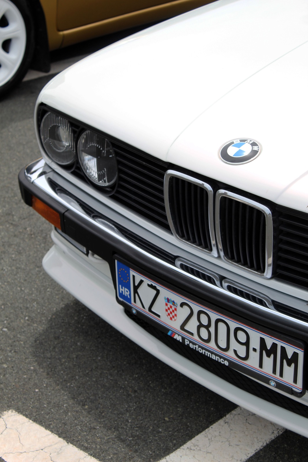 3. Zadarski Mega Meet 3. Zadarski Mega Meet