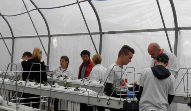 OLYMPUS DIGITAL CAMERA