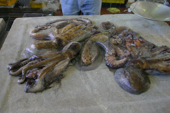 Image 1207657 (auto)