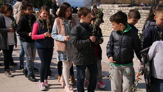 Cvjetnica 20. ožujka 2016: Nakon blagoslova maslinovih grančica, nadbisku Želimir Puljić predvodio je procesiju do katedrale sv. Stošije gdje je služio misno slavlje na kojem se pjevala Muka našeg Gospodina Cvjetnica 20. ožujka 2016: Nakon blagoslova maslinovih grančica, nadbisku Želimir Puljić predvodio je procesiju do katedrale sv. Stošije gdje je služio misno slavlje na kojem se pjevala Muka našeg Gospodina