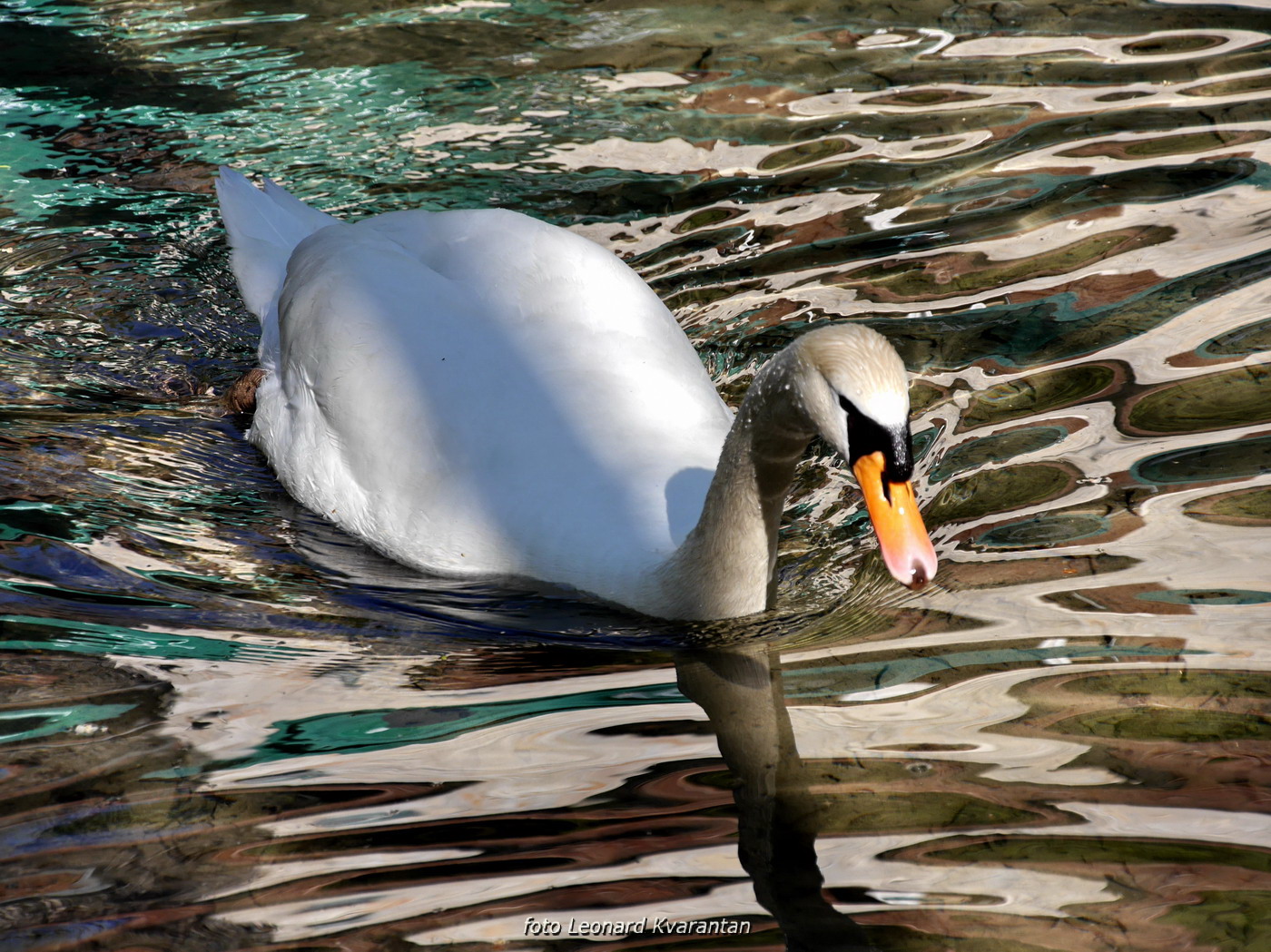 Nedjeljni izlet u Nacionalni park Krka Nedjeljni izlet u Nacionalni park Krka