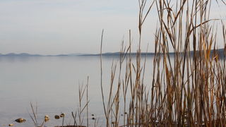 Đir uz Vransko jezero, Foto: Iva Perinić Đir uz Vransko jezero, Foto: Iva Perinić