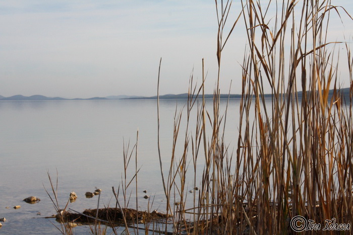 Đir uz Vransko jezero, Foto: Iva Perinić Đir uz Vransko jezero, Foto: Iva Perinić