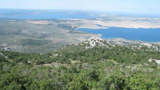 Image 1177341 (auto)