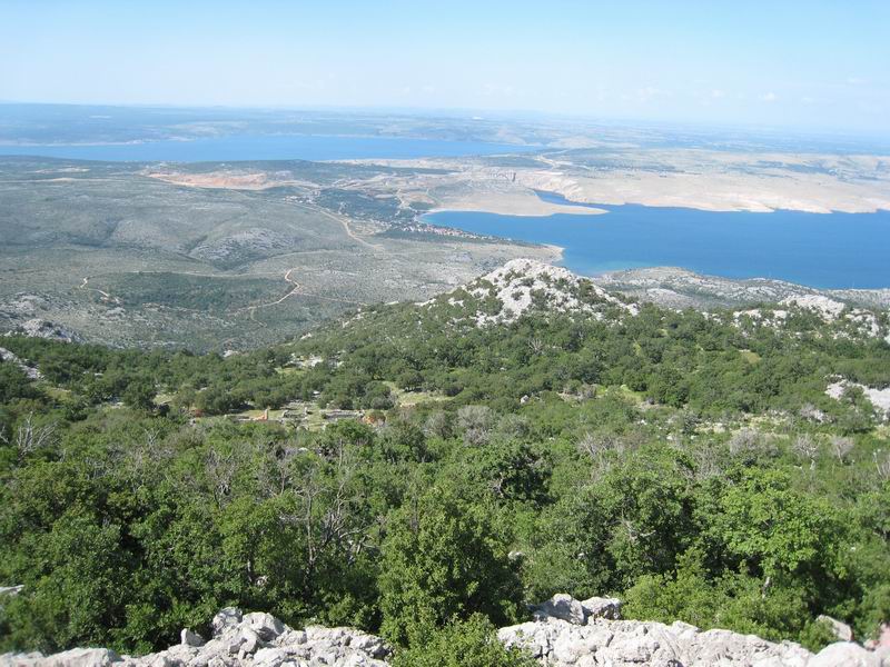 Image 1177341 (auto)