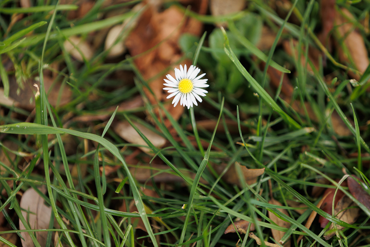 Đir po gradu, 27. siječnja 2025. Đir po gradu, 27. siječnja 2025.