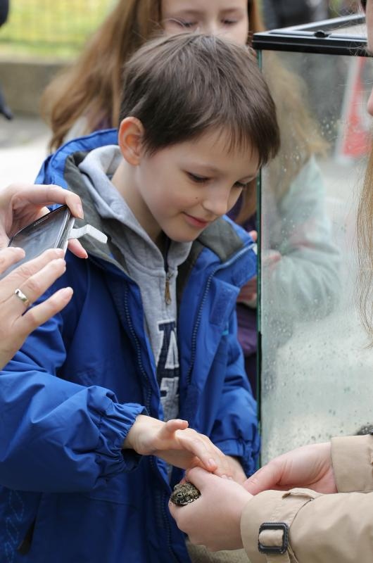 U Zooloskom vrtu u Zagrebu obiljezen Zablji dan u sklopu kojeg su se odrzavale razne radionice, a zainteresirani posjetitelji mogli su i dirati zabe. Photo: Tomislav Miletic/PIXSELL
