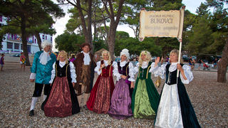 Ljetni karneval 2011. u Biogradu na Moru, Foto. Franjo Jurić