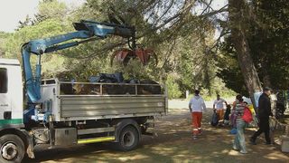 “Zelena čistka”: Musapstan “lakši” za 3 tone otpada!