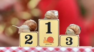 “Puževim korakom” Benkovac: 6. Prvenstvo Hrvatske u utrci puževa “Puževim korakom” Benkovac: 6. Prvenstvo Hrvatske u utrci puževa