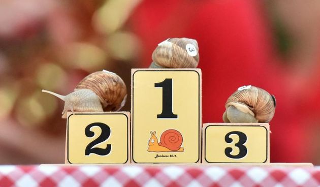 “Puževim korakom” Benkovac: 6. Prvenstvo Hrvatske u utrci puževa