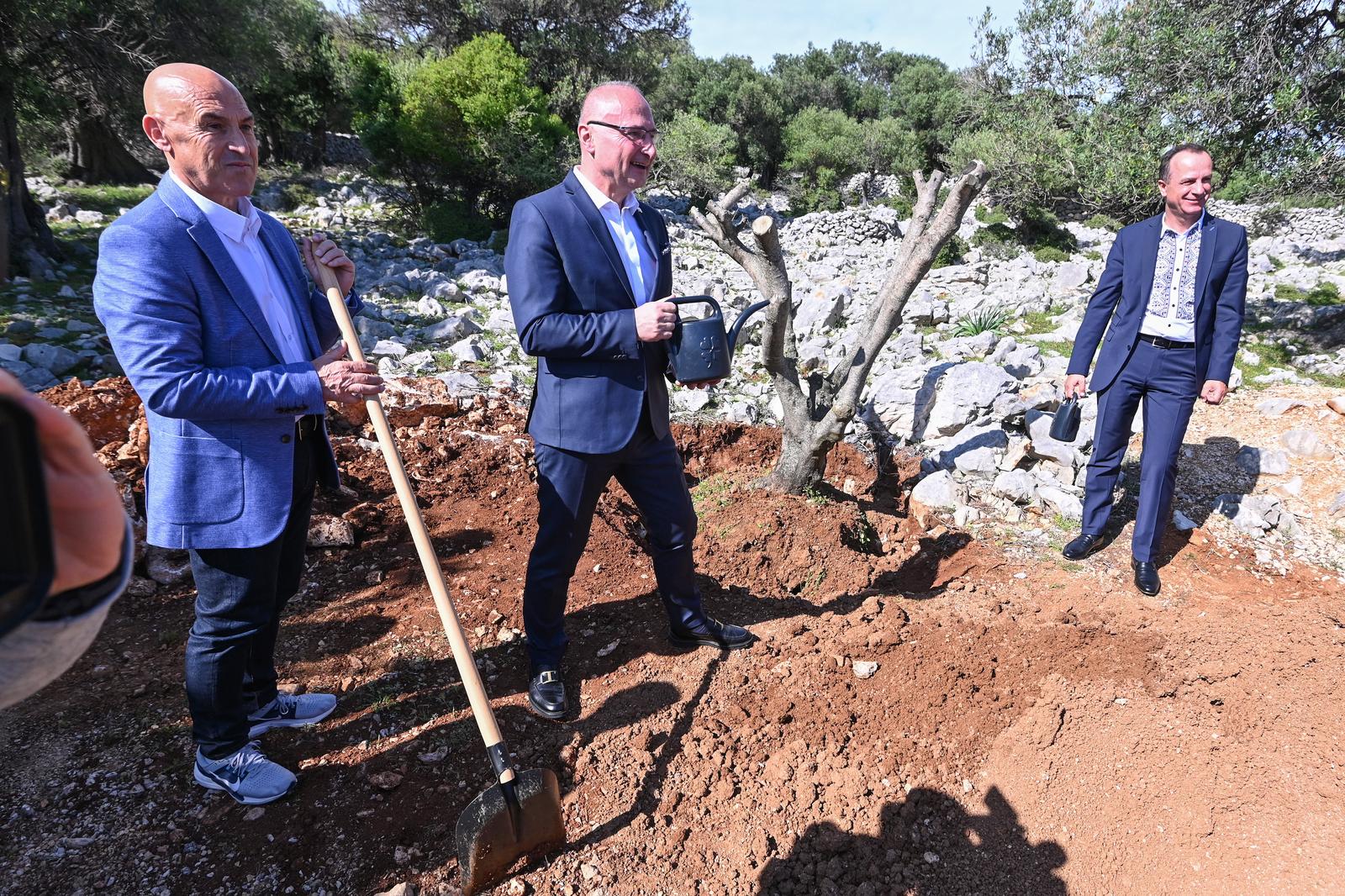 Grlić Radman i veleposlanik Ukrajine posadili maslinu u Perivoju mira