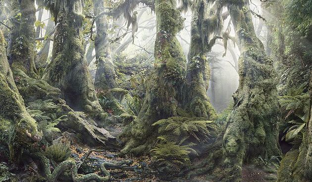 Test koncentracije i percepcije: Koliko životinja vidite na slici?