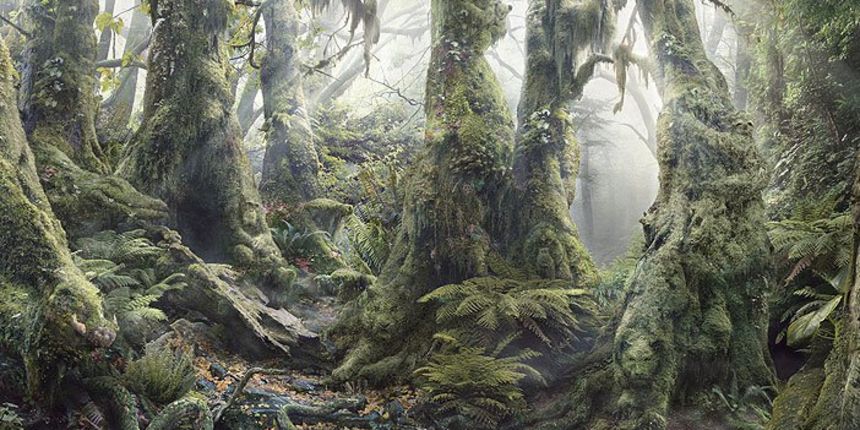 Test koncentracije i percepcije: Koliko životinja vidite na slici? Test koncentracije i percepcije: Koliko životinja vidite na slici?