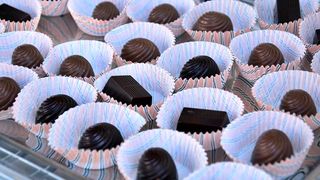 Kulturni Majdan na Trgu 5 bunara Kulturni Majdan na Trgu 5 bunara