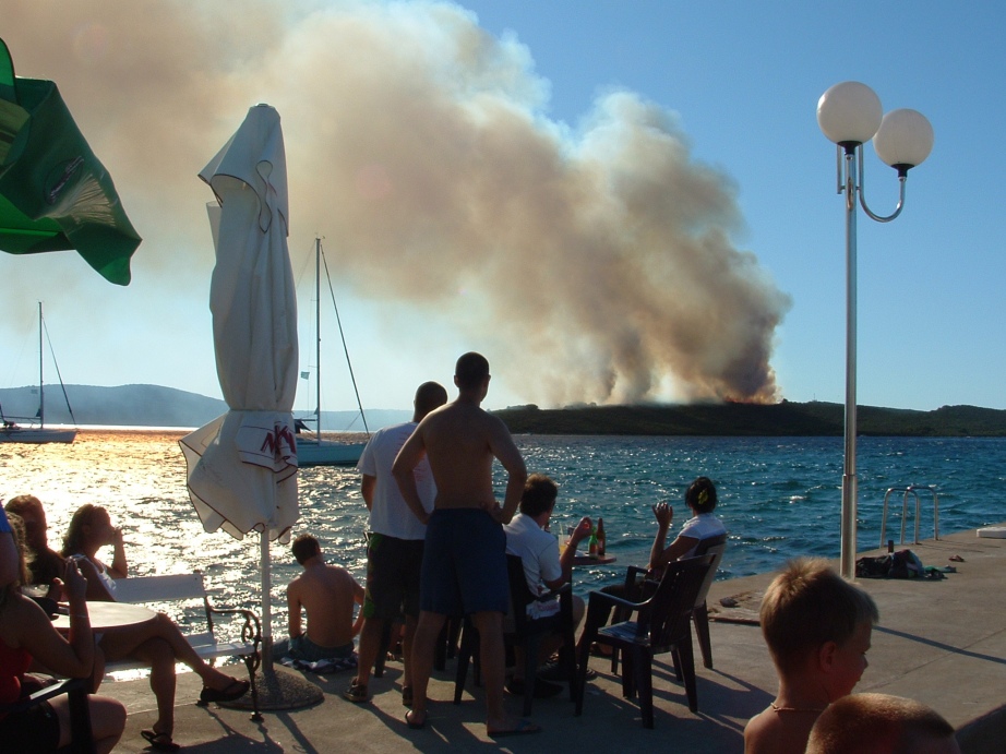 Image 1177193 (auto)