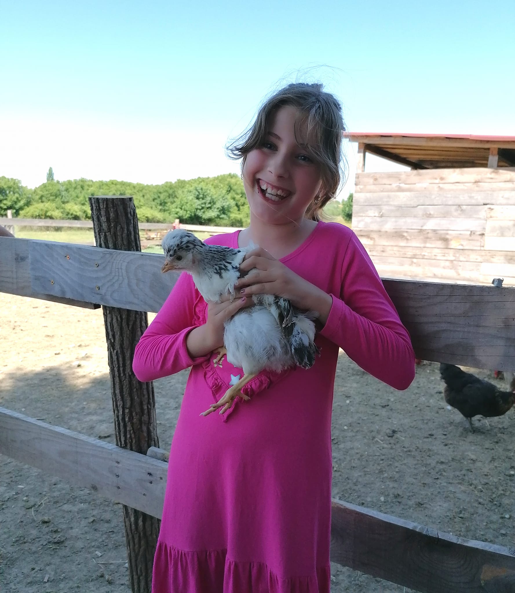 Libretići na snimanju spota u Ponylandu Libretići na snimanju spota u Ponylandu