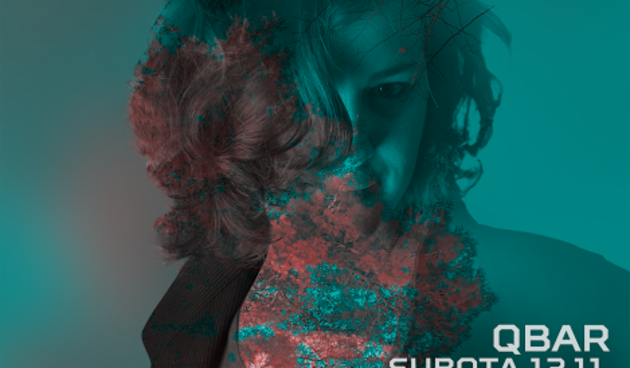 Marina Karamarko, plakat