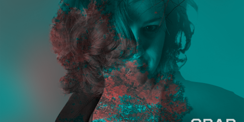 Marina Karamarko, plakat