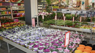 Ponovo otvoren centar baumax Zadar Ponovo otvoren centar baumax Zadar