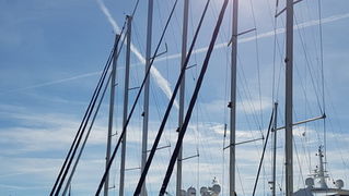 Đir po gradu 19. listopada 2016.