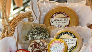 11. Izložba ovčjih i kozjih sireva, Foto: Mladen Malik