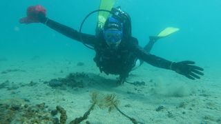 Strani studenti na združenom studiju Biotehnologija mora Strani studenti na združenom studiju Biotehnologija mora