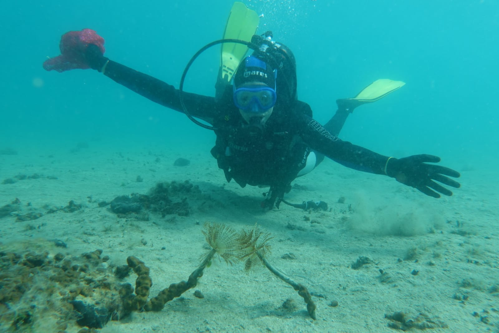 Strani studenti na združenom studiju Biotehnologija mora Strani studenti na združenom studiju Biotehnologija mora