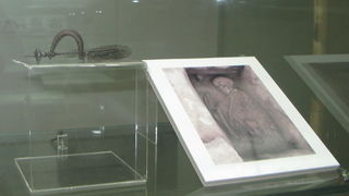 MAS: “Iz liburnskog svijeta mrtvih”, foto: I. Pejković