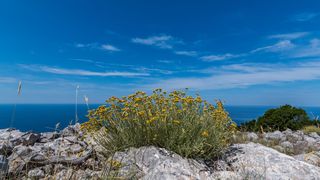 Izlet do Dugog otoka – planinarenje do Orljaka i posjet Velom Ratu