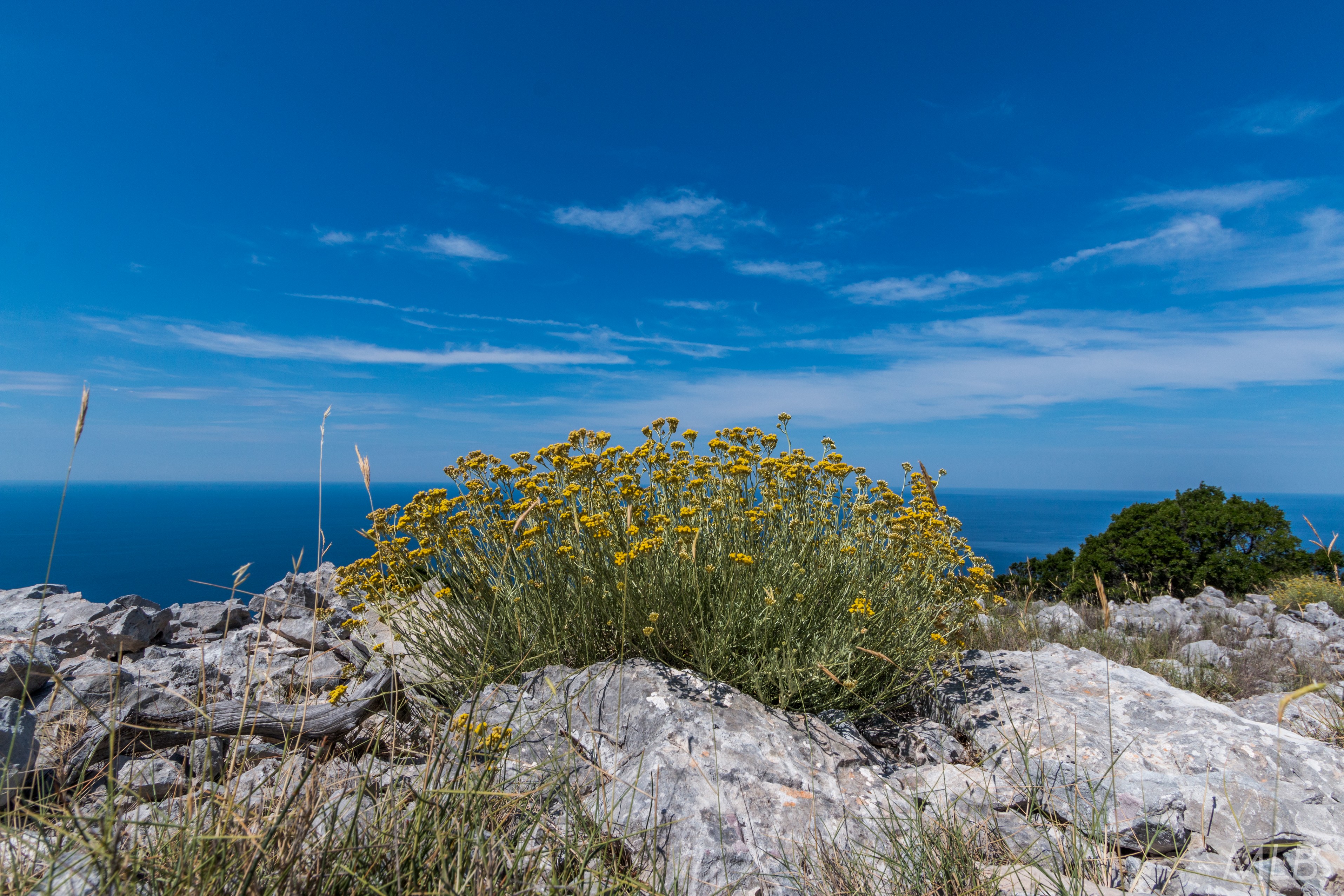 Izlet do Dugog otoka – planinarenje do Orljaka i posjet Velom Ratu