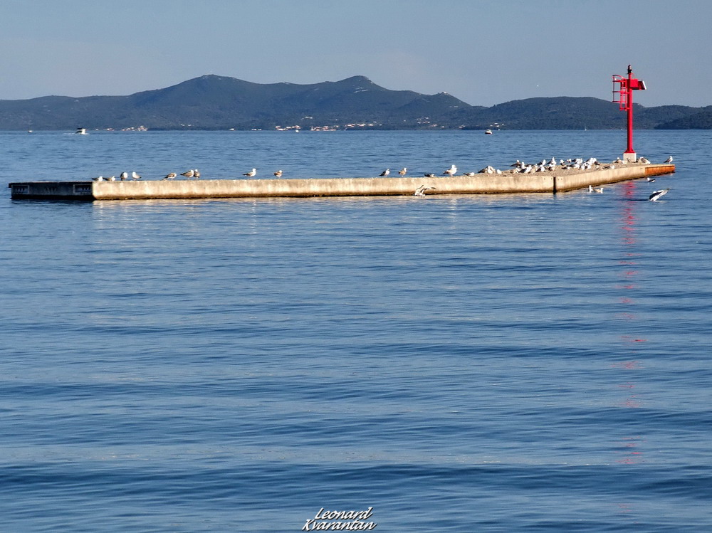 Prekrasno poslijepodne na Puntamici, foto. Leonard Kvarantan