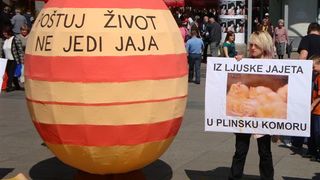 Akcija “Iz ljuske jajeta u plinsku komoru” Akcija “Iz ljuske jajeta u plinsku komoru”