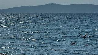 Južina u Zadru 18. ožujka 2012., Foto: Leonard Kvarantan Južina u Zadru 18. ožujka 2012., Foto: Leonard Kvarantan