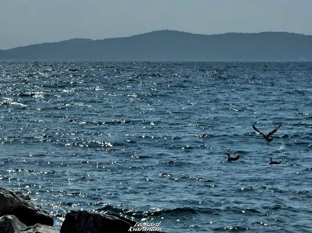 Južina u Zadru 18. ožujka 2012., Foto: Leonard Kvarantan Južina u Zadru 18. ožujka 2012., Foto: Leonard Kvarantan