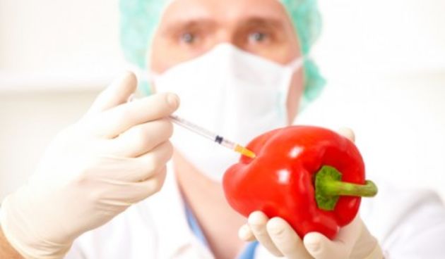 gmo hrana, foto: metro-portal.hr