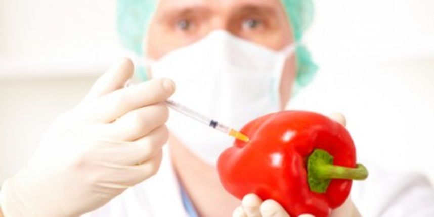 gmo hrana, foto: metro-portal.hr